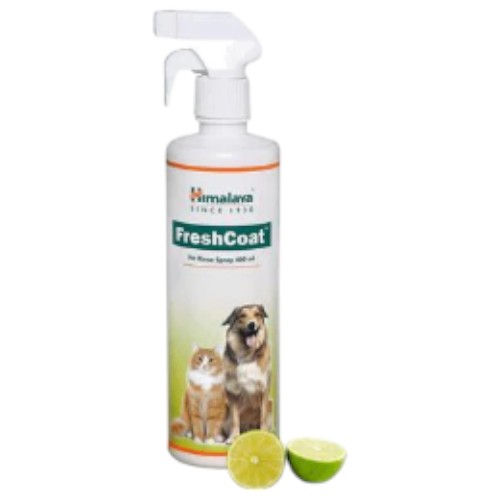 Fresh Coat No Rinse Spray