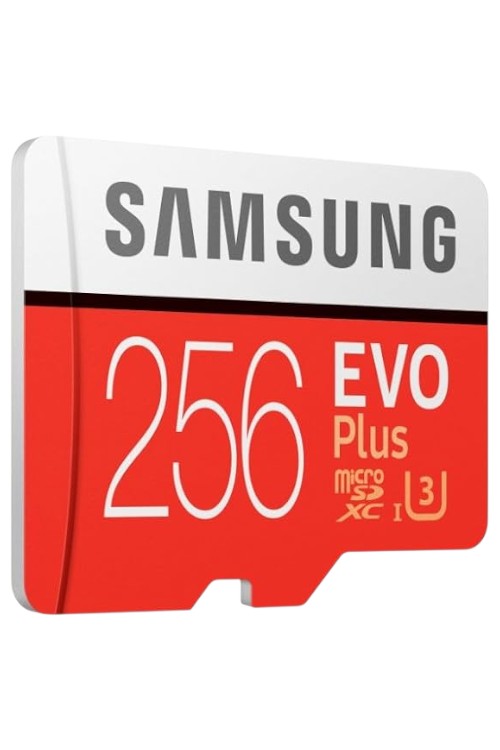 Samsung 256 GB Micro