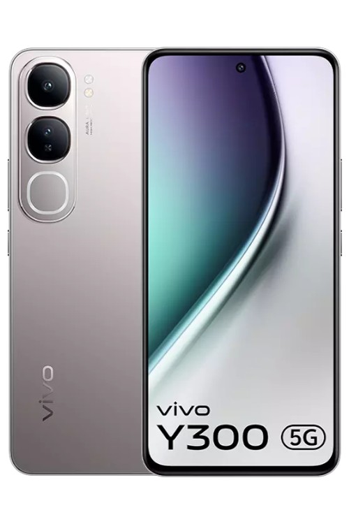 Vivo Y300 5G Titanium Silver Smart Phone