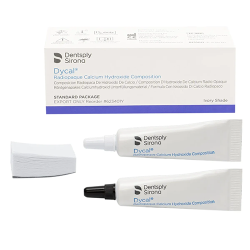 Dentsply Enhance Finish & Polish System
